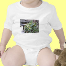 Marsh Marigolds t-shirts