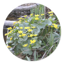 Marsh Marigolds stickers