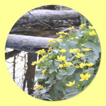 Marsh Marigolds stickers