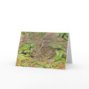 Marsh Rabbit Note Card