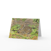Marsh Rabbit Note Card