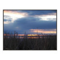 MARSH SUNSET posters by dequilla MARSH SUNSET posters