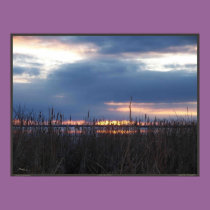 MARSH SUNSET posters