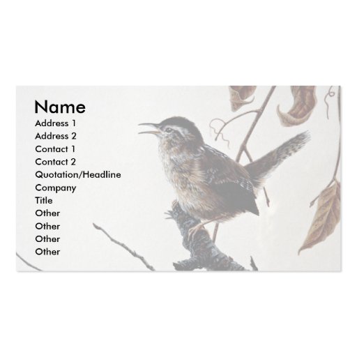 Marsh wren business cards (front side)