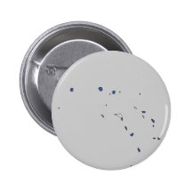 Marshall Islands flag map Pinback Button