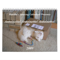 Marsha's Amazing Calendars 2009 by codfishlady Marsha's Amazing Calendars 2009