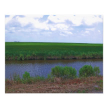 Marshes Photo Enlargement