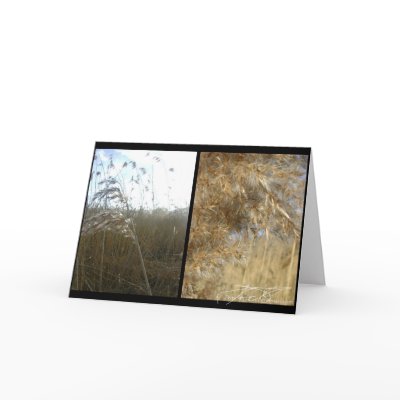 Marshland Grasses Greeting Card by Flynn the Cat
