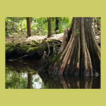 Marshland Print 2 posters