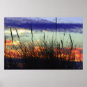Marshland Sunset Poster posters