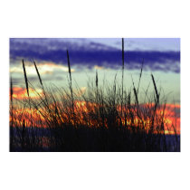 Marshland Sunset Poster posters