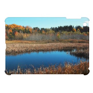 Marshlands Pond and Trees Canada iPad mini case