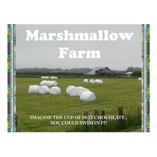 Marshmallow Farm. postcard Zazzle