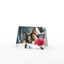 Martha and Gerber Daisy Cards