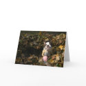 Martha fall cards