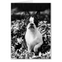 Martha in leaves -black/white cards