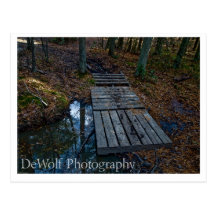 Martha's Footbridge Post Cards