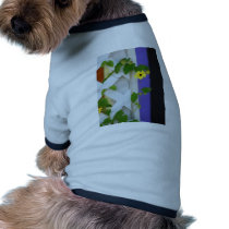 Marthas Vineyard 45 pet clothing