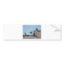 Marthas Vineyard 48 bumper stickers by alinphoto Marthas Vineyard 48 bumper stickers