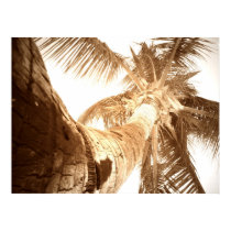 Marthon Palm posters by Lealon Marthon Palm posters