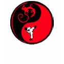 Martial Arts Action t-shirts