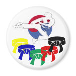 Martial Arts Flyer Rank Belts Magnets