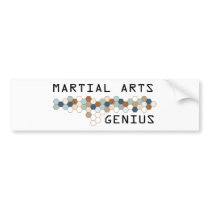 Martial Arts Genius bumper stickers