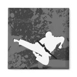 martial arts : grunge silhouettes : magnets