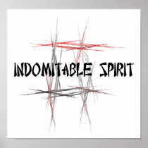 Martial Arts Indomitable Spirit Posters