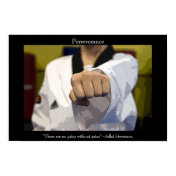 Martial Arts Middle Punch Poster