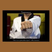 Martial Arts Middle Punch Poster posters by loraseverson Martial Arts Middle Punch Poster posters