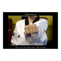 Martial Arts Middle Punch Poster posters