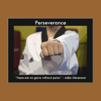 Martial Arts Perseverance postcards by loraseverson Martial Arts Perseverance postcards