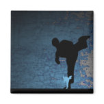 martial arts : shadowstance magnets