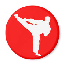 martial arts silhouette magnets