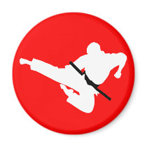 martial arts silhouette fridge magnets
