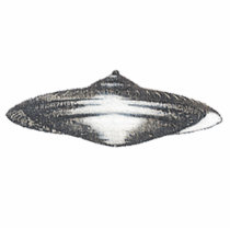 Martian Flying Saucer MCC-4890 Lightspeedster HRL Photo Cutout