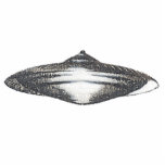 Martian Flying Saucer MCC-4890 Lightspeedster HRL Photo Cutout