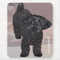 Martini the Yorkie-Poo mousepads