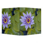 Martinique, French Antilles, West Indies, Blue binders