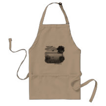 Martin's Pond Apron