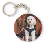 Marty - Cavapoo - Berghoffer Keychain