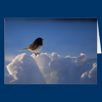 “Marvelous Gorgeous Goddess”/Michigan cards