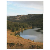 Marvine Horses Custom Letterhead