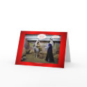 MARY AND JOSEPH IN BARN.... VIRGIN MARY cards