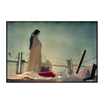 Mary Fence posters