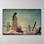 Mary Fence posters