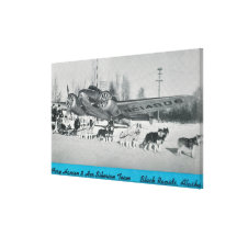 Mary Hansen & Siberians w/ Airplane Stretched Canvas Print