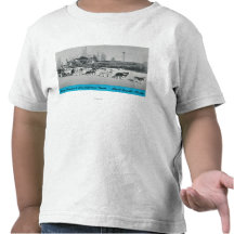 Mary Hansen & Siberians w/ Airplane Tee Shirt