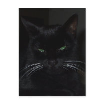 Mary Jane Postcard by slumbering Mary Jane Postcard